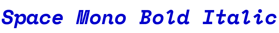 Space Mono Bold Italic الخط